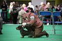 Crufts2011_2 826